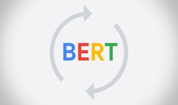 A Comprehensive Guide to Unlocking Higher Rankings with Google BERT